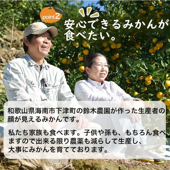 【ふるさと納税】蔵出しみかん5kg または 6kg 混合サイズ【選べる出荷月！1月or2月】訳ありご家庭用農園直送 ※北海道・沖縄・離島への配送不可 | みかん フルーツ 柑橘 かんきつ 果実 食品 楽天ふるさと 納税 農産物 サムネイル3