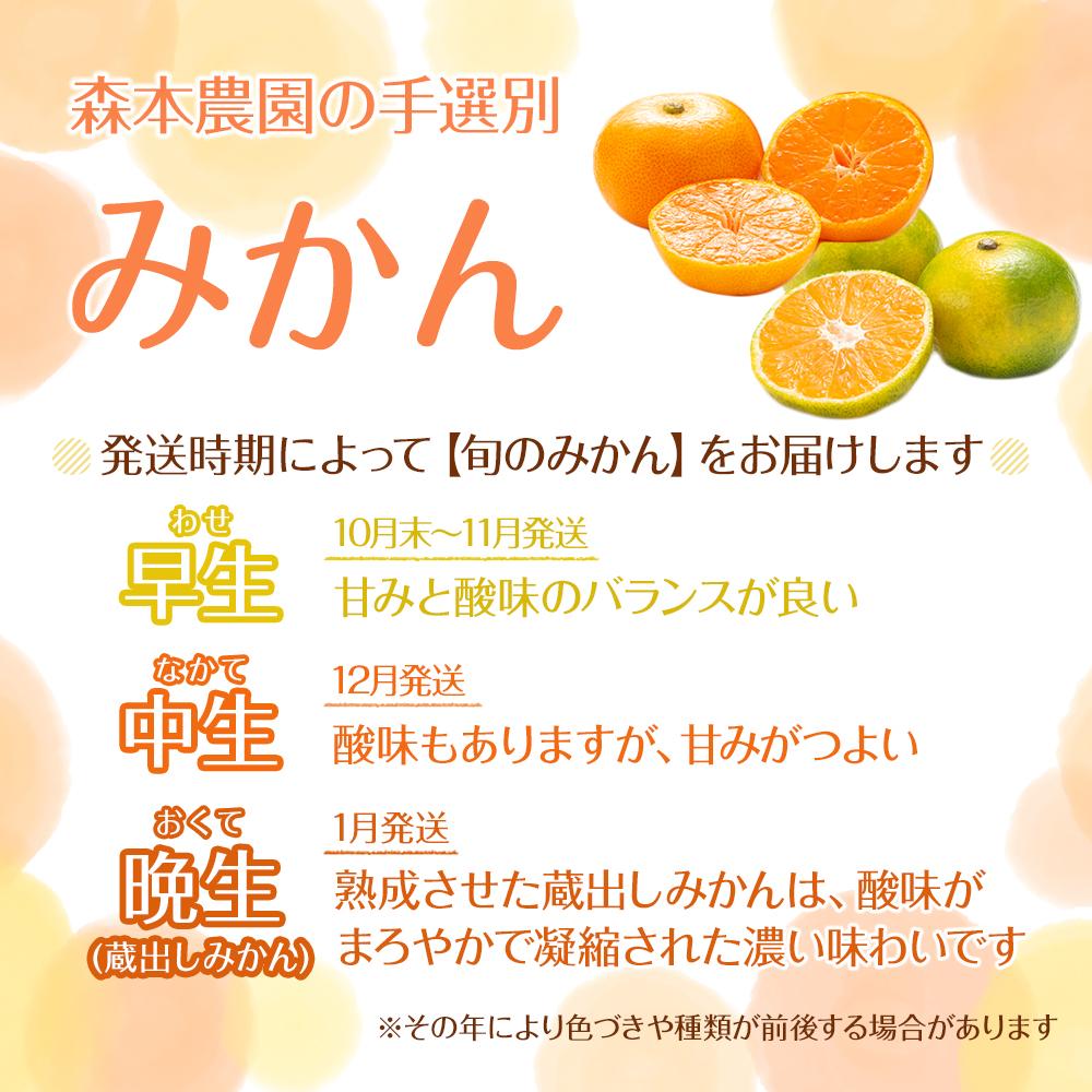 【ふるさと納税】【選べる容量・サイズ】 先行予約 訳あり 森本農園の手選別 みかん 2kg～10kg 和歌山県産 ［北海道・沖縄・離島配送不可］ | みかん 蜜柑 フルーツ 果物 くだもの 食品 人気 おすすめ 送料無料 サムネイル2