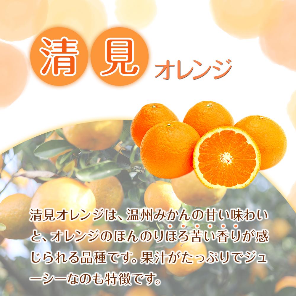 【ふるさと納税】【選べる容量・サイズ】 先行予約 家庭用 森本農園の手選別 清見オレンジ 1.5kg～10kg 和歌山県産 サイズ混合 ［北海道・沖縄・離島配送不可］ | みかん 蜜柑 フルーツ 果物 くだもの 食品 人気 おすすめ 送料無料 サムネイル2
