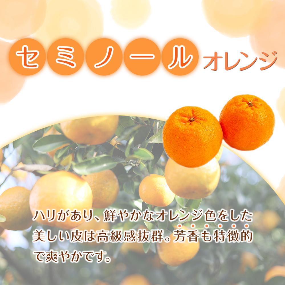 【ふるさと納税】【選べる容量】先行予約 家庭用 森本農園の手選別 セミノールオレンジ 1.5kg～10kg 和歌山県産 サイズ混合 ［北海道・沖縄・離島配送不可］ | みかん 蜜柑 フルーツ 果物 くだもの 食品 人気 おすすめ 送料無料 サムネイル2
