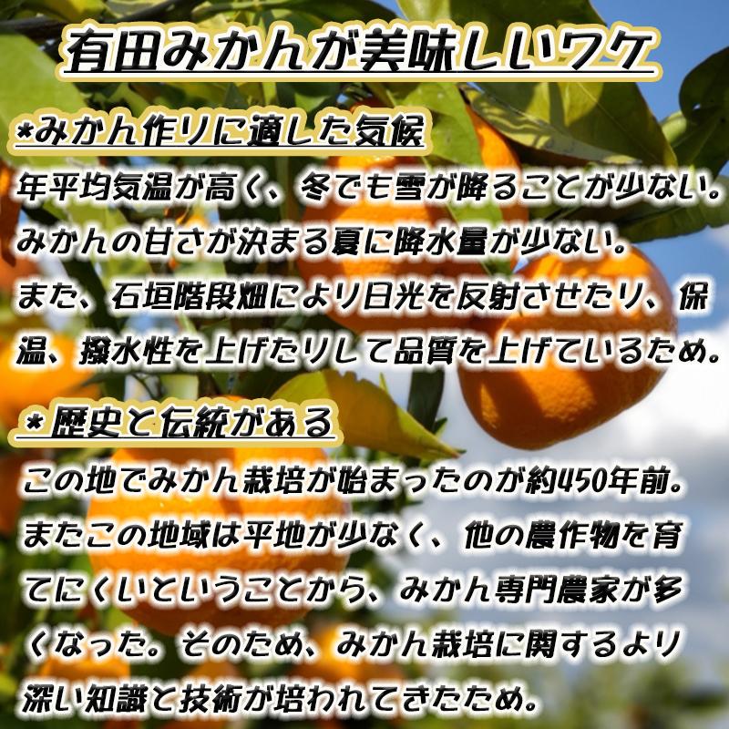 【ふるさと納税】有田みかん【特秀品M～L、高糖度】約10kg！2025年10月上旬～12月下旬順次発送【NGT4】 | フルーツ 果物 くだもの 食品 人気 おすすめ 送料無料 サムネイル3