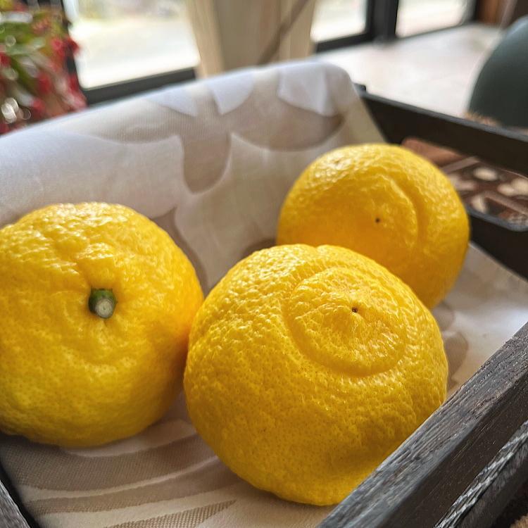 特選 完熟 はるかみかん 約3kg［先行予約］［MS54］ | フルーツ 果物 くだもの 食品 人気 おすすめ 送料無料 農家直送