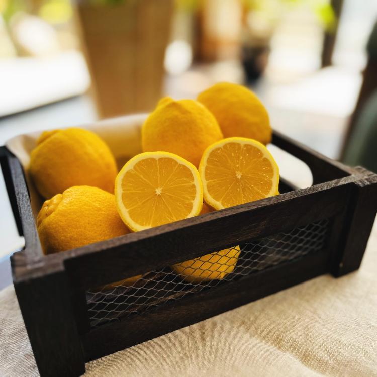 【ふるさと納税】紀州和歌山 有田レモン 約3kg［農家直送］［先行予約］［MS68］ | フルーツ 果物 くだもの 食品 人気 おすすめ 送料無料 農家直送 サムネイル2