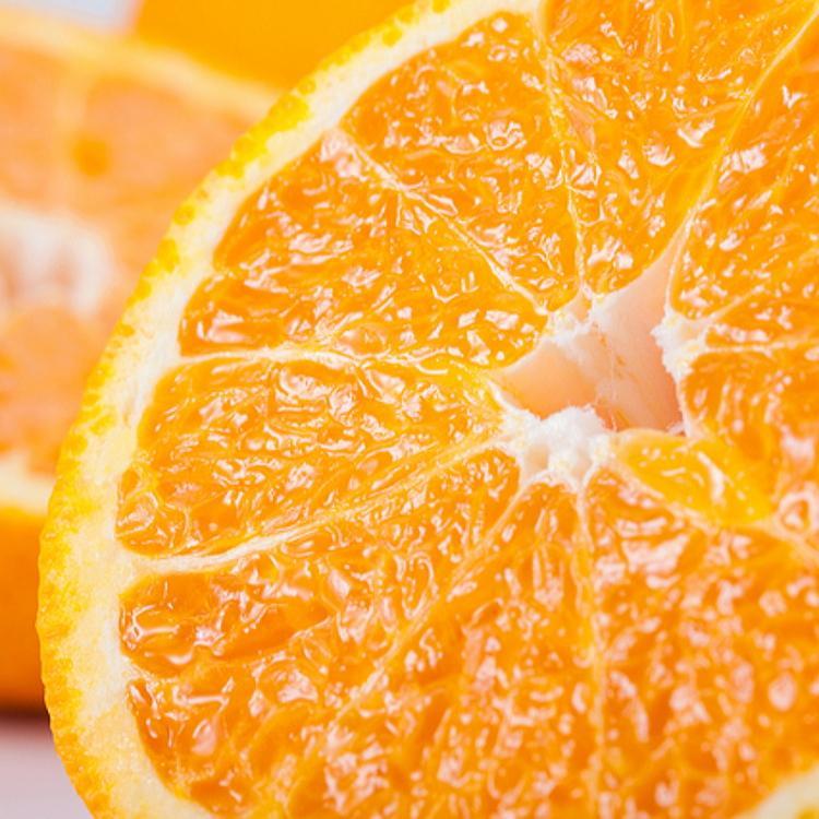 【ふるさと納税】有田育ちの濃厚不知火(ご家庭用) 約2.5kg［先行予約］［MS40］ | フルーツ 果物 くだもの 食品 人気 おすすめ 送料無料 農家直送 サムネイル2