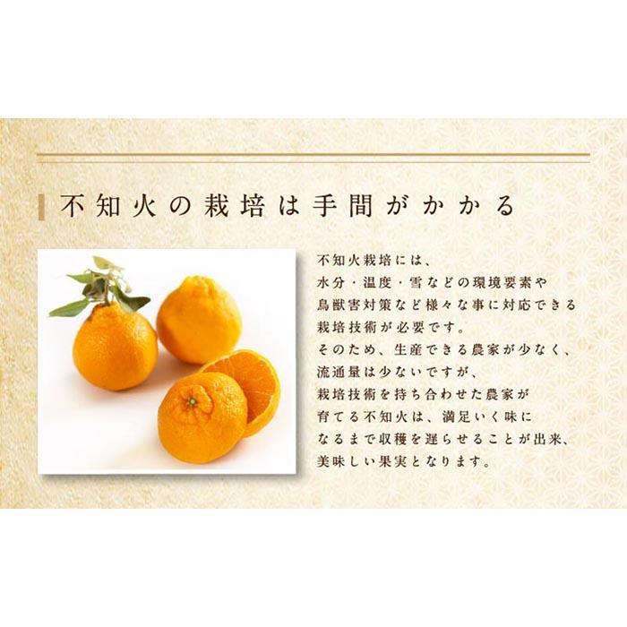 【ふるさと納税】不知火 約3kg 大玉9～11玉入り または 5kg 15～24玉入り 《赤秀》 和歌山県産 農園直送 まごころ産直みかん 【北海道・沖縄県・一部離島 配送不可】 | みかん 果物 くだもの 柑橘 かんきつ しらぬい でこぽん ふるさと納税 和歌山 海南 返礼品 送料無料 サムネイル2