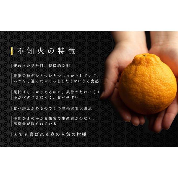 【ふるさと納税】不知火 約3kg 大玉9～11玉入り または 5kg 15～24玉入り 《赤秀》 和歌山県産 農園直送 まごころ産直みかん 【北海道・沖縄県・一部離島 配送不可】 | みかん 果物 くだもの 柑橘 かんきつ しらぬい でこぽん ふるさと納税 和歌山 海南 返礼品 送料無料 サムネイル3