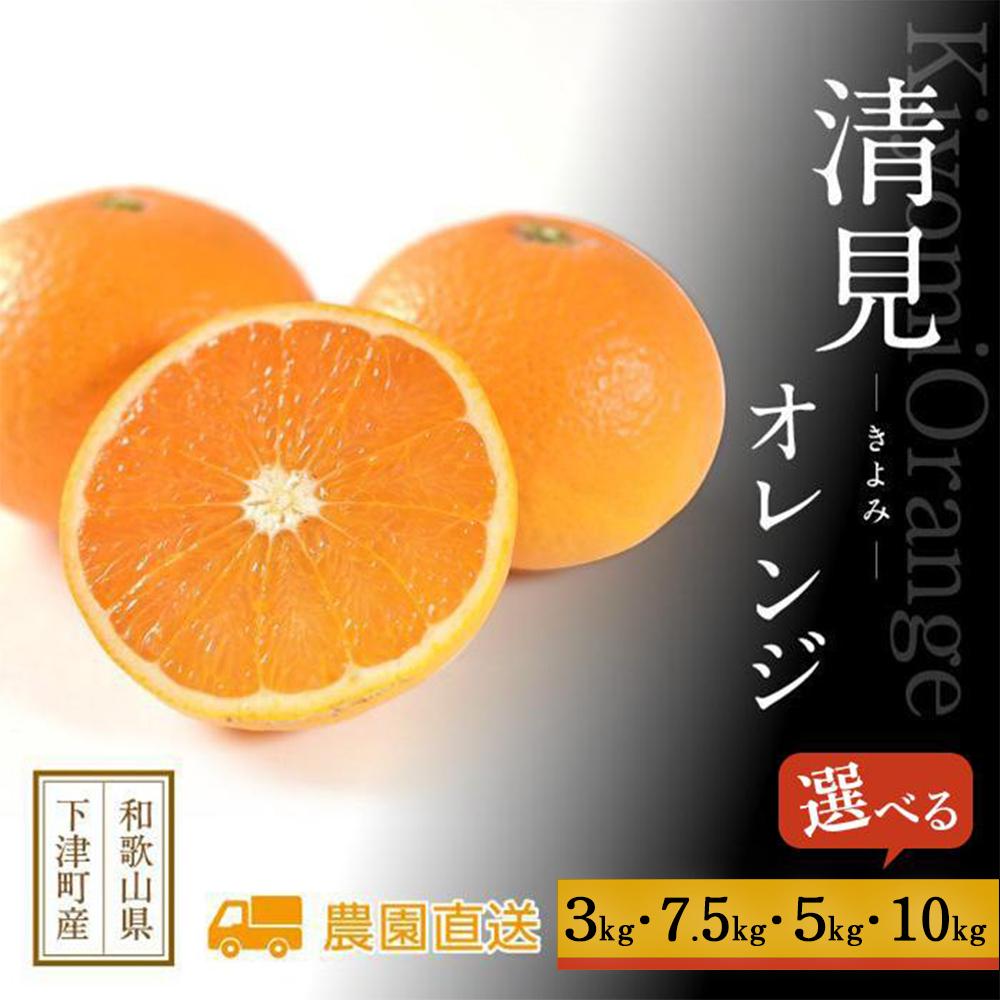 【選べる容量】清見オレンジ 約3kg～10kg サイズおまかせ 《赤秀》 和歌山県産 農園直送 まごころ産直みかん 【北海道・沖縄県・一部離島 配送不可】 | フルーツ 送料無料 清見 きよみ オレンジ 柑橘 柑橘類 旬