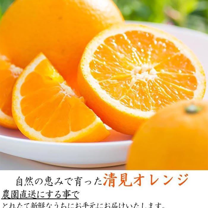 【ふるさと納税】【選べる内容量（2kg～10kg）】清見オレンジ（大小混合）《ご家庭用》ちょっと訳あり　和歌山県より農園直送！ | 和歌山 果物 みかん 訳アリ わけあり 清見タンゴール 清美 サムネイル2