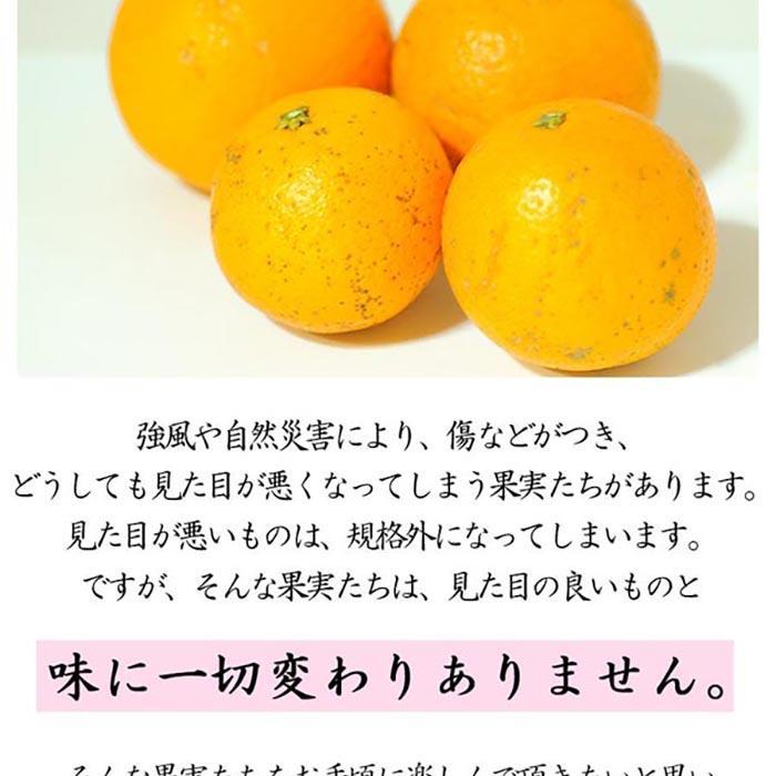【ふるさと納税】【選べる内容量（2kg～10kg）】清見オレンジ（大小混合）《ご家庭用》ちょっと訳あり　和歌山県より農園直送！ | 和歌山 果物 みかん 訳アリ わけあり 清見タンゴール 清美 サムネイル3