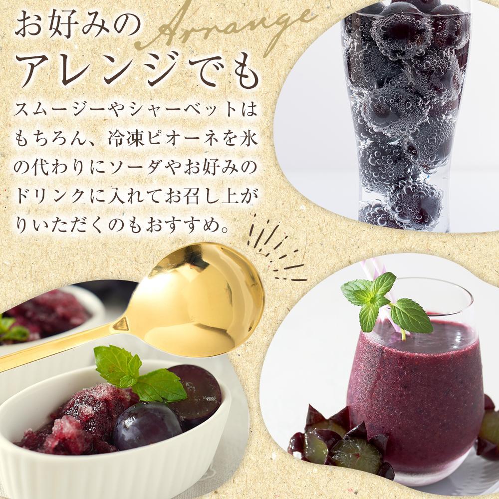 【ふるさと納税】【新鮮・産直】和歌山かつらぎ町産たねなしピオーネ約1.2kg／約2kg／約3kg ★2026年8月中旬頃より順次発送 | フルーツ 果物 くだもの 食品 人気 おすすめ 送料無料 サムネイル3