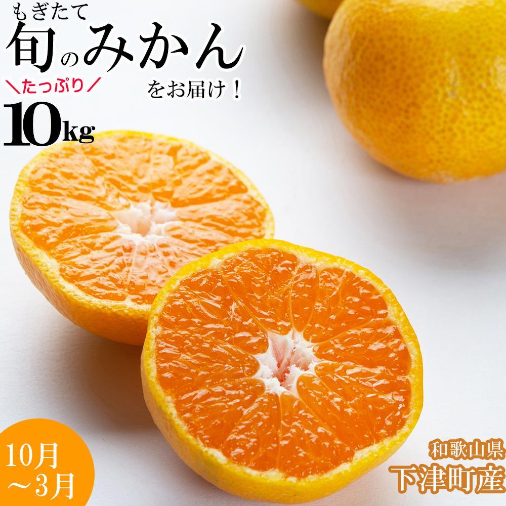 みかん 約10kg 大小混合サイズ 《ご家庭用》 和歌山県産 農園直送 まごころ産直みかん 【10月中旬から3月上旬頃まで順次発送】【北海道・沖縄県・一部離島 配送不可】訳あり | みかん 蜜柑 フルーツ 果物 くだもの 食品 人気 おすすめ 送料無料