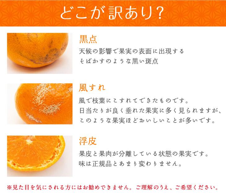 【ふるさと納税】みかん 約10kg 大小混合サイズ 《ご家庭用》 和歌山県産 農園直送 まごころ産直みかん 【10月中旬から3月上旬頃まで順次発送】【北海道・沖縄県・一部離島 配送不可】訳あり | みかん 蜜柑 フルーツ 果物 くだもの 食品 人気 おすすめ 送料無料 サムネイル3