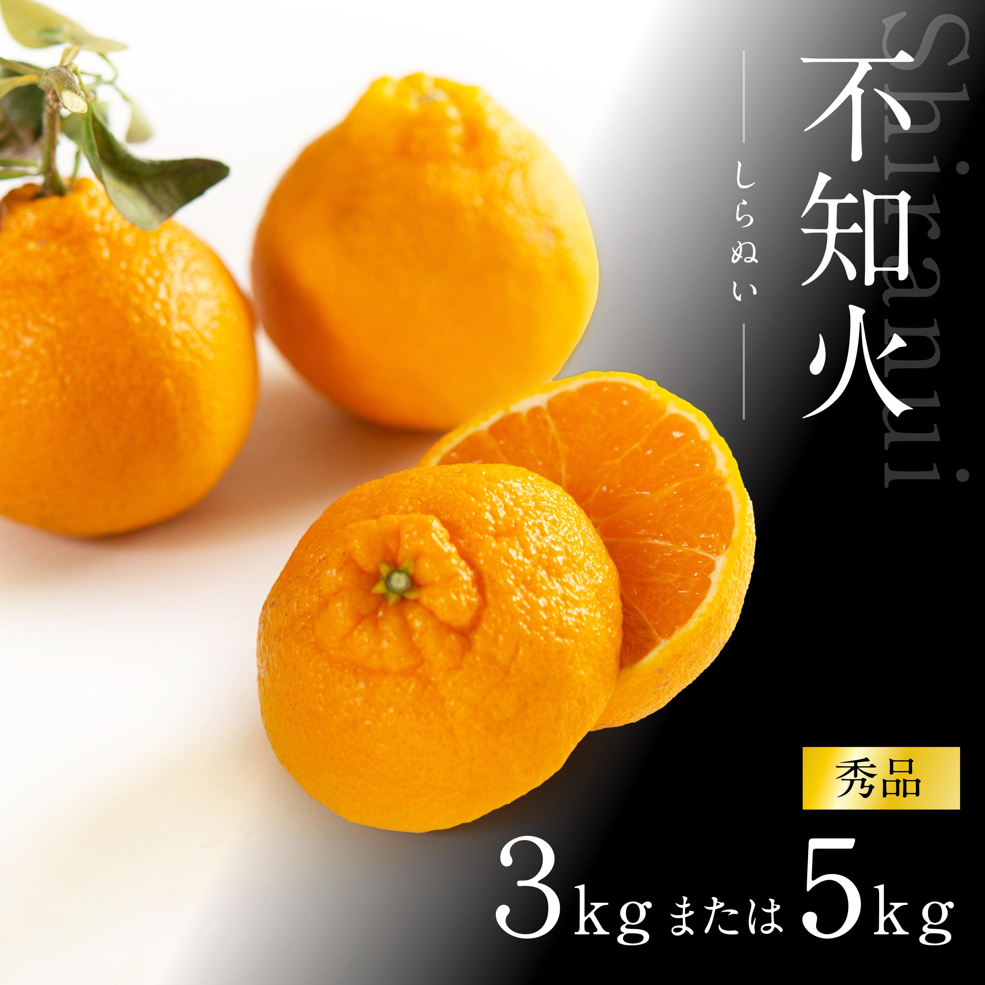 不知火 約3kg 大玉9～11玉入り または 5kg 15～24玉入り 《赤秀》 和歌山県産 農園直送 まごころ産直みかん 【北海道・沖縄県・一部離島 配送不可】 | みかん 果物 くだもの 柑橘 かんきつ しらぬい でこぽん ふるさと納税 和歌山 海南 返礼品 送料無料