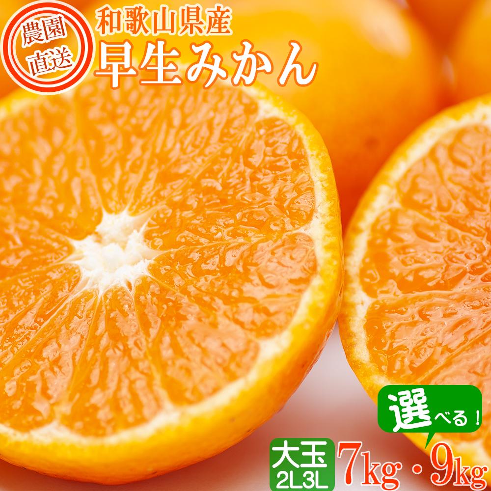 【選べる内容量】早生みかん約7kg or 約9kg 大玉2L・3Lサイズおまかせ 《ご家庭用》 ちょっと訳あり 和歌山県産 農園直送 まごころ産直みかん【北海道・沖縄県・一部離島配送不可】大きい 蜜柑 温州みかん わけあり 訳アリ | 果物 フルーツ 柑橘 わせ 早生