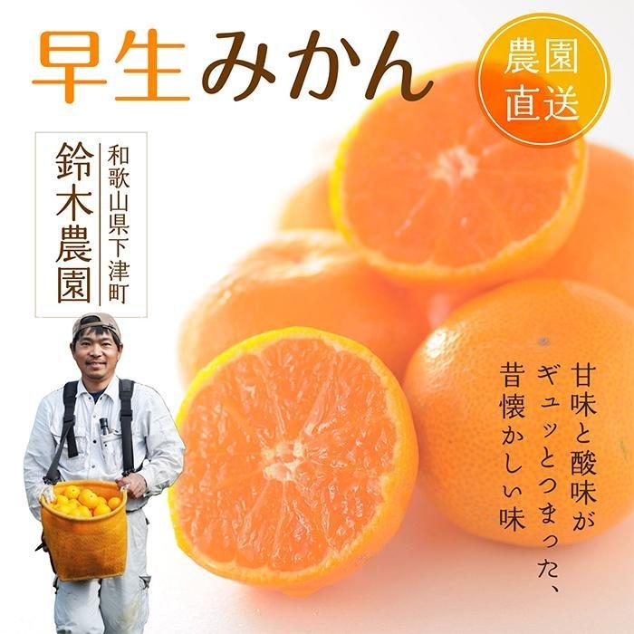 早生みかん【訳あり】約5kg 混合サイズ｜和歌山・下津町産 鈴木農園直送【11月〜12月発送】 | 防腐剤不使用 ワックス不使用 蜜柑 フルーツ 果物