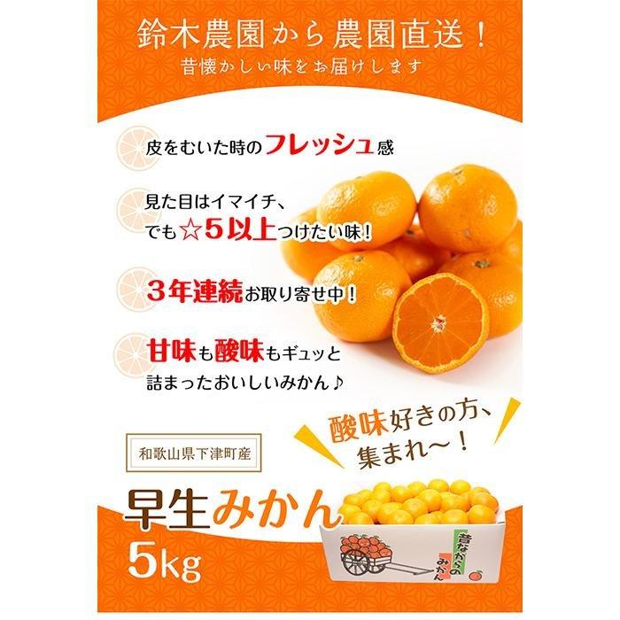 【ふるさと納税】早生みかん【訳あり】約5kg 混合サイズ｜和歌山・下津町産 鈴木農園直送【11月〜12月発送】 | 防腐剤不使用 ワックス不使用 蜜柑 フルーツ 果物 サムネイル2