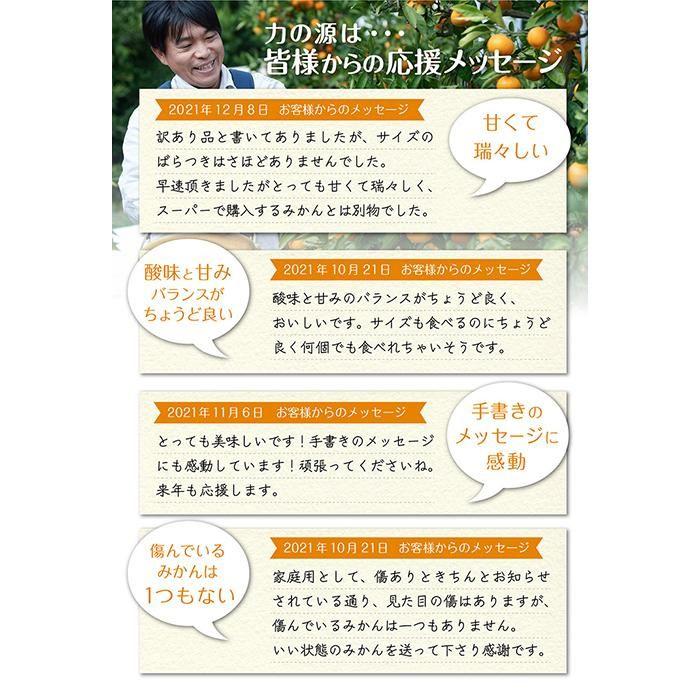 【ふるさと納税】早生みかん【訳あり】約5kg 混合サイズ｜和歌山・下津町産 鈴木農園直送【11月〜12月発送】 | 防腐剤不使用 ワックス不使用 蜜柑 フルーツ 果物 サムネイル3