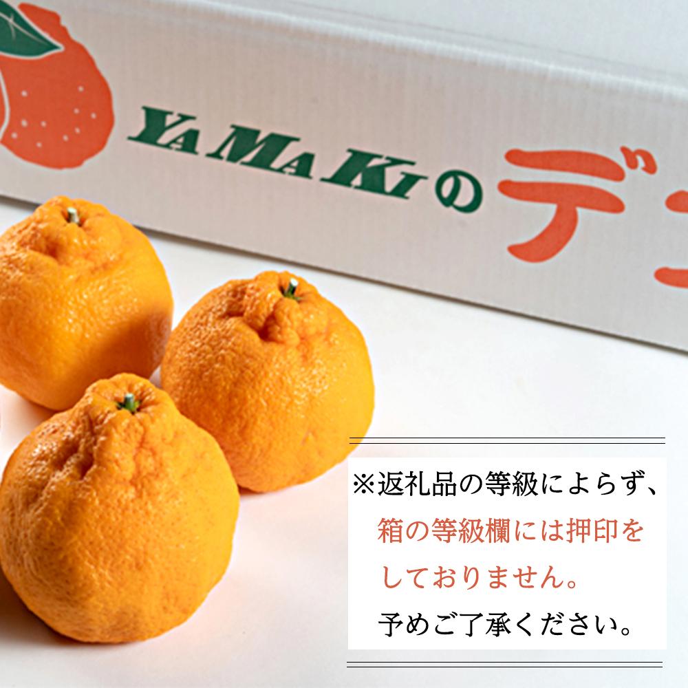 【ふるさと納税】［先行予約］不知火（完熟栽培）15玉～28玉 約5kg 家庭用【和歌山 海南市 農園直送】 | フルーツ 果物 くだもの 食品 人気 おすすめ 送料無料 サムネイル3