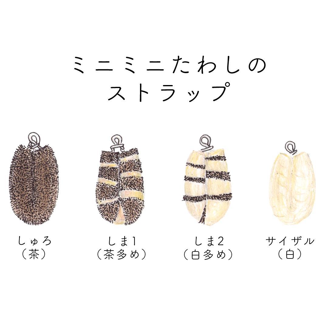 【ふるさと納税】高田耕造商店 たわしストラップ 【4種セット】 | たわし 掃除 ストラップ 日用品 人気 おすすめ 送料無料 サムネイル2