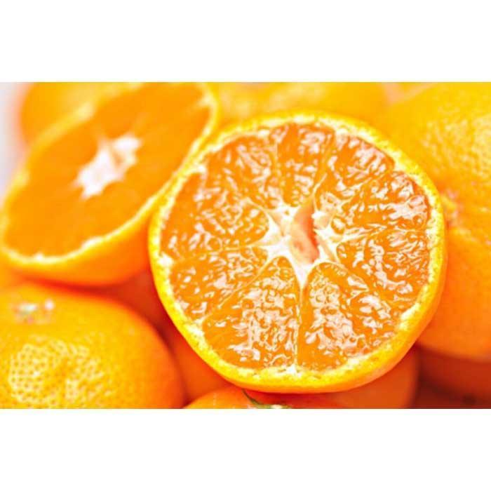 ［先行予約］【選べる容量】完熟早生みかん 家庭用 約2kg or 約5kg サイズ混合 | ふるさと納税 楽天ふるさと 和歌山 和歌山県 海南市 返礼品 お礼の品 特産品 果物 フルーツ ミカン 蜜柑 柑橘類 みかん わけあり 完熟 わせ 早生 2kg 5kg