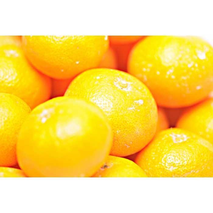 【ふるさと納税】［先行予約］【選べる容量】完熟早生みかん 家庭用 約2kg or 約5kg S～SSSサイズ混合 | ふるさと納税 楽天ふるさと 和歌山 和歌山県 海南市 返礼品 お礼の品 特産品 果物 フルーツ ミカン 蜜柑 柑橘類 みかん わけあり 完熟 わせ 早生 2kg 5kg S SS SSS サムネイル2