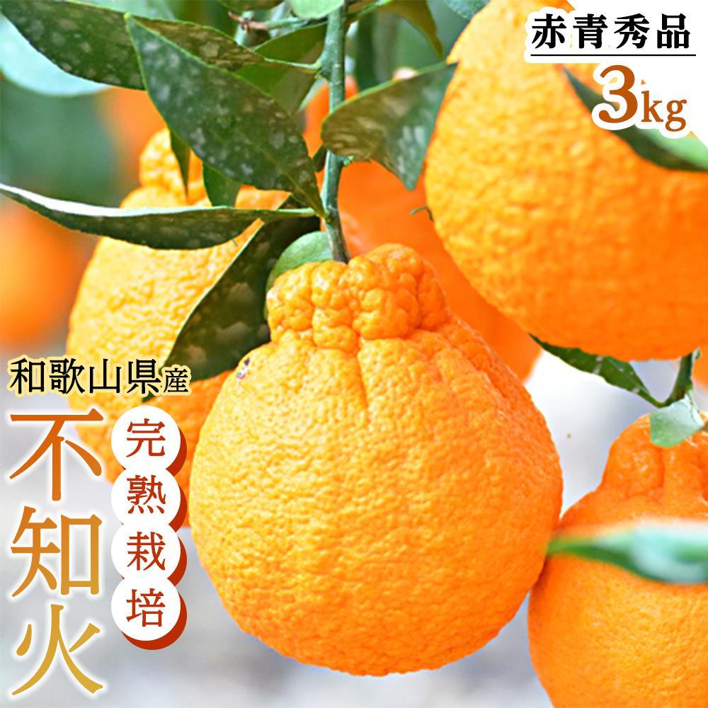 ［先行予約］【選べる容量】不知火（完熟栽培）樹上約300日 約3kg (8玉～12玉) or 約5kg (15玉～28玉) 赤青秀品【和歌山 海南市 農園直送】 | ふるさと納税 楽天ふるさと 和歌山 和歌山県 海南市 蔵出し 特産品 果物 フルーツ ミカン 不知火 柑橘類