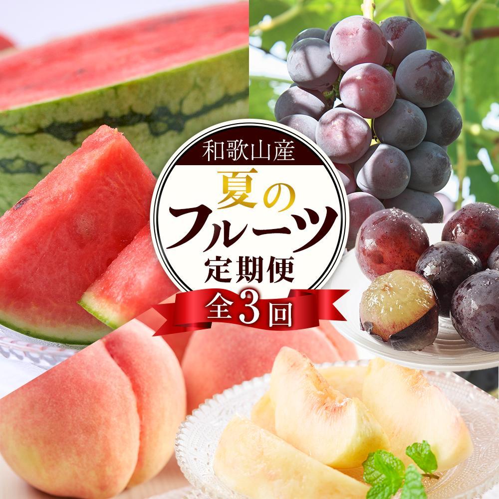 定期便全3回 和歌山の人気の夏のフルーツをお届け！ ［TM204］
