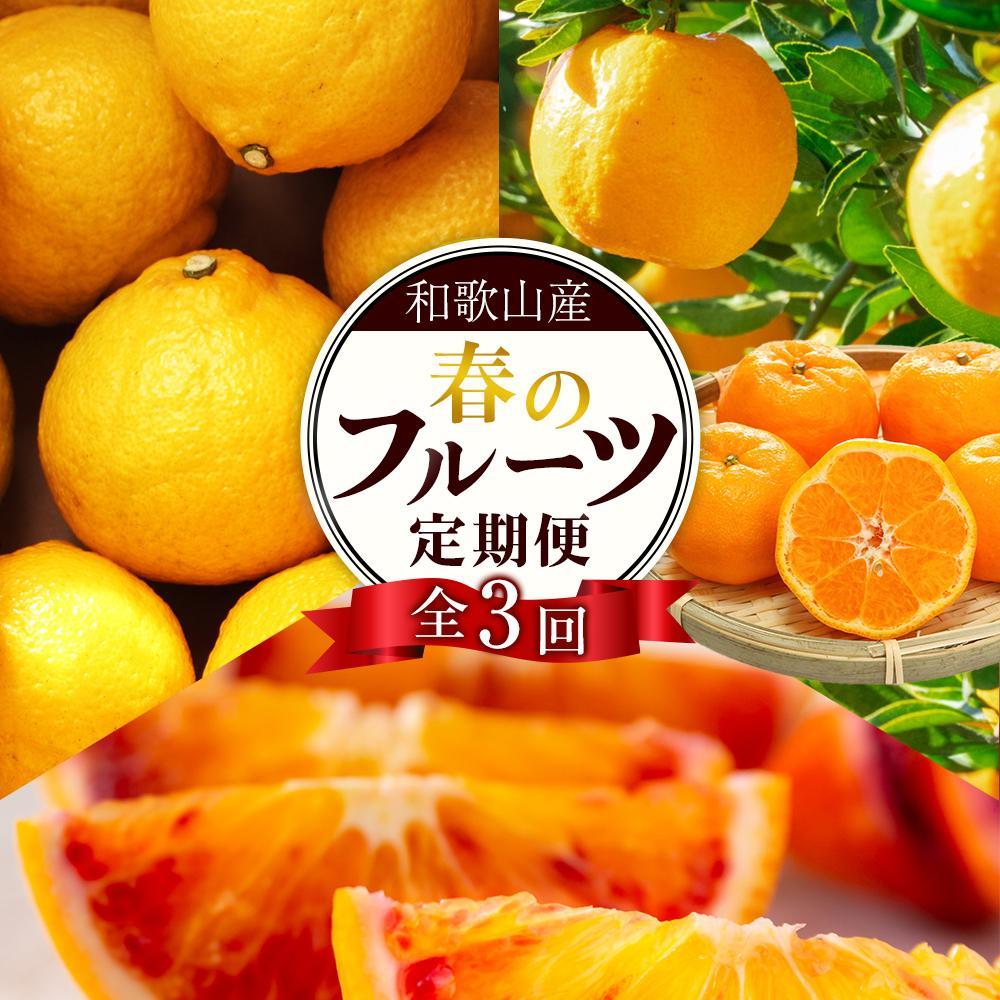 定期便全3回 【2月・3月・4月発送】 和歌山の春の柑橘 （ポンカン・はるか・ブラッドオレンジ）秀品【TM173】 | フルーツ 果物 くだもの 食品 人気 おすすめ 送料無料