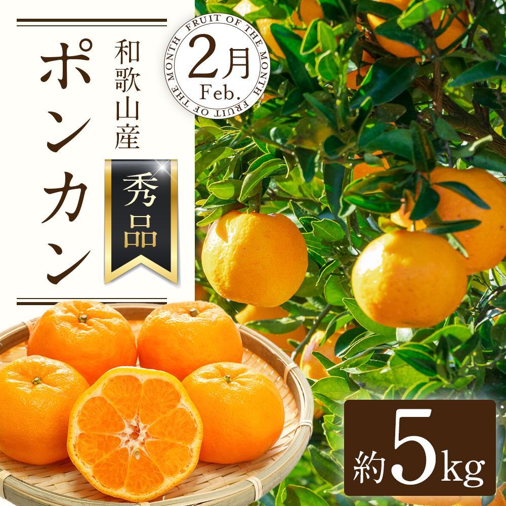 【ふるさと納税】定期便全3回 【2月・3月・4月発送】 和歌山の春の柑橘 （ポンカン・はるか・ブラッドオレンジ）秀品【TM173】 | フルーツ 果物 くだもの 食品 人気 おすすめ 送料無料 サムネイル2