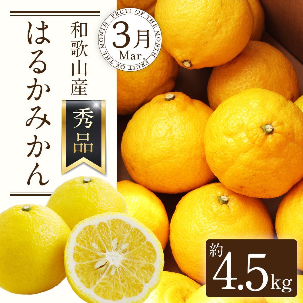 【ふるさと納税】定期便全3回 【2月・3月・4月発送】 和歌山の春の柑橘 （ポンカン・はるか・ブラッドオレンジ）秀品【TM173】 | フルーツ 果物 くだもの 食品 人気 おすすめ 送料無料 サムネイル3