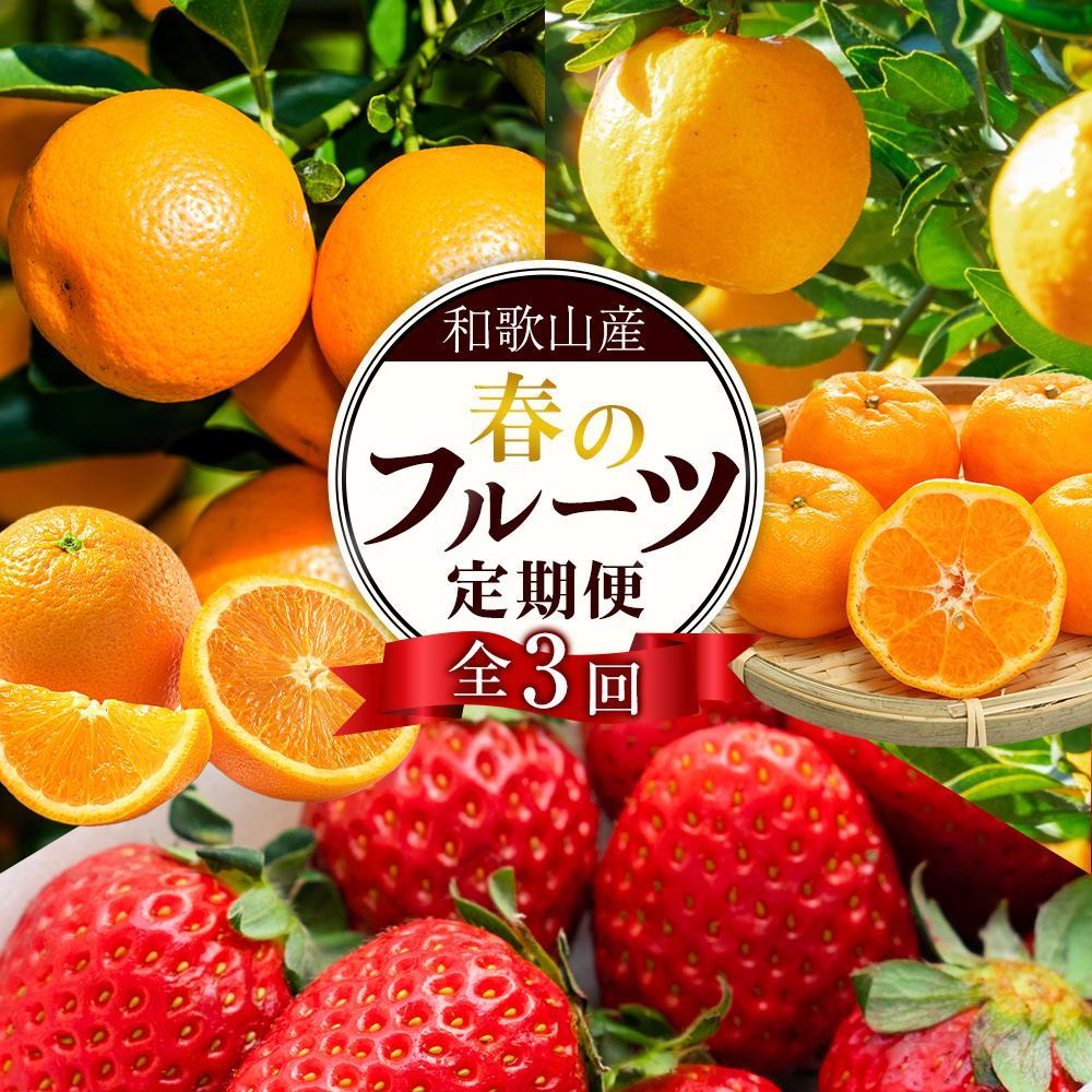 定期便全3回 【2月・3月・4月発送】 和歌山の春のフルーツ （ポンカン・清見オレンジ・まりひめ）【TM174】 | フルーツ 果物 くだもの 食品 人気 おすすめ 送料無料