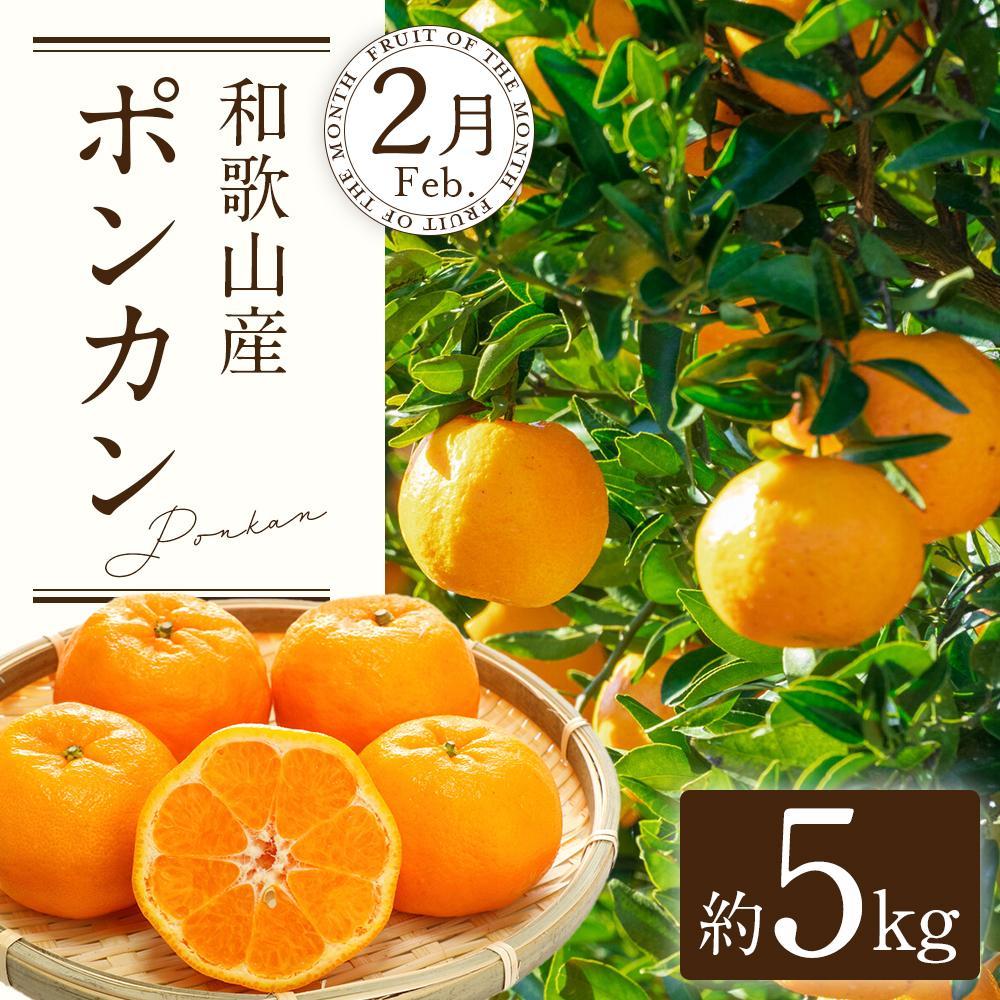 【ふるさと納税】定期便全3回 【2月・3月・4月発送】 和歌山の春のフルーツ （ポンカン・清見オレンジ・まりひめ）【TM174】 | フルーツ 果物 くだもの 食品 人気 おすすめ 送料無料 サムネイル2