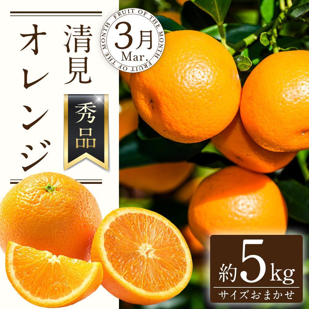 【ふるさと納税】定期便全3回 【2月・3月・4月発送】 和歌山の春のフルーツ （ポンカン・清見オレンジ・まりひめ）【TM174】 | フルーツ 果物 くだもの 食品 人気 おすすめ 送料無料 サムネイル3