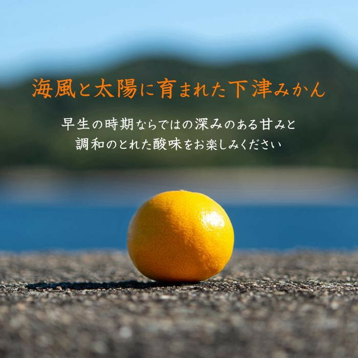 【ふるさと納税】早生みかん 約5kg 大小混合 《ご家庭用》 和歌山県産 農園直送 まごころ産直みかん 【北海道・沖縄県・一部離島 配送不可】ちょっと訳あり ミカン 蜜柑 温州みかん わけあり 訳アリ 和歌山みかん 下津みかん 和歌山ミカン しもつみかん mikan | 特産品 果物 サムネイル3