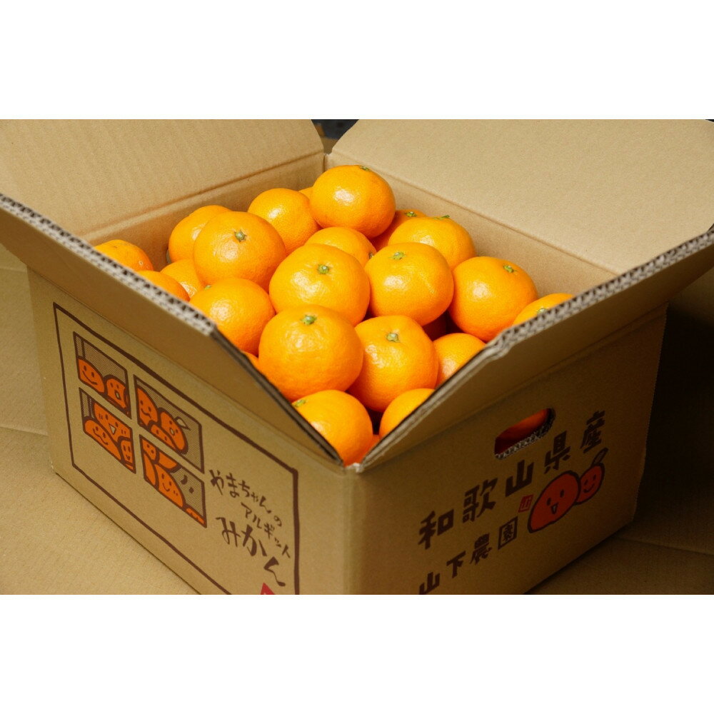 【ふるさと納税】【選べる容量】樹上完熟早生みかん 約3kg or 約5kg サイズ混合 山下農園 | みかん 蜜柑 フルーツ 果物 くだもの 食品 人気 おすすめ 送料無料 産地直送 サムネイル3