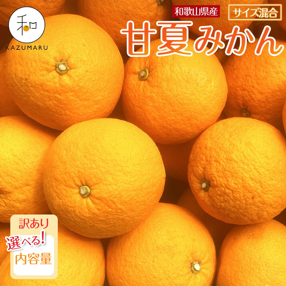 【選べる容量】訳あり 森本農園の手選別 甘夏みかん 約2～10kg 和歌山県産 サイズ混合 ［北海道・沖縄・離島配送不可］［2026年4月上旬から順次発送］［RN74］ | みかん 蜜柑 フルーツ 果物 くだもの 食品 人気 おすすめ 送料無料