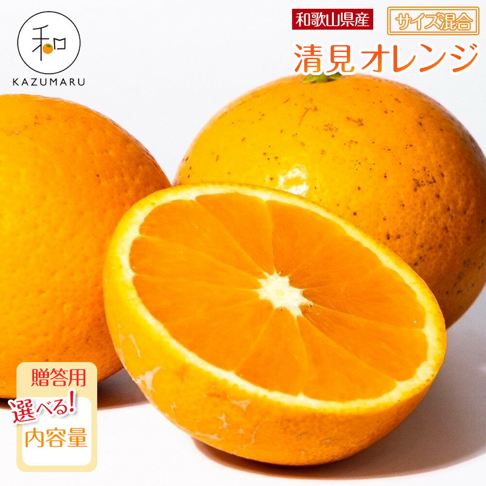 【選べる容量】 贈答用 森本農園の手選別 厳選清見オレンジ 約2～10kg 和歌山県産 サイズ混合 ［北海道・沖縄・離島配送不可］［2026年2月上旬から5月中旬頃順次発送予定］［RN89］ | みかん 蜜柑 フルーツ 果物 くだもの 食品 人気 おすすめ 送料無料
