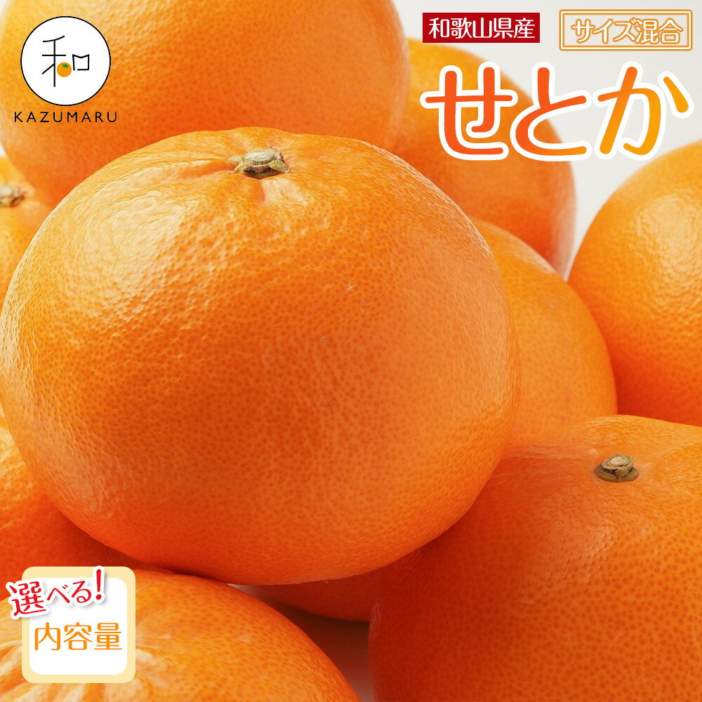 【選べる容量】森本農園の手選別 せとか 約2kg～5kg 和歌山県産 サイズ混合 ［北海道・沖縄・離島配送不可］［2026年2月上旬から順次発送予定］［RN129］ | せとか 蜜柑 フルーツ 果物 くだもの 食品 人気 おすすめ 送料無料