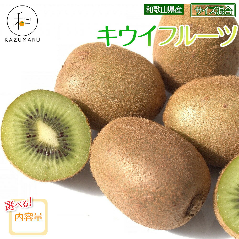 【選べる容量】森本農園の キウイフルーツ 約2～5kg 和歌山県産 サイズ混合 ［北海道・沖縄・離島配送不可］［2026年2月上旬から順次発送］［RN125］ | キウイフルーツ キウイ フルーツ 果物 くだもの 食品 人気 おすすめ 送料無料