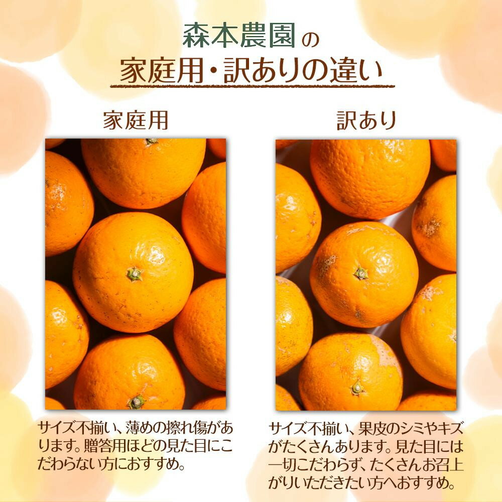 【ふるさと納税】【選べる容量】家庭用 森本農園の手選別 甘夏みかん 約1.5～10kg 和歌山県産 サイズ混合 ［北海道・沖縄・離島配送不可］［2026年4月上旬から順次発送］ | みかん 蜜柑 フルーツ 果物 くだもの 食品 人気 おすすめ 送料無料 サムネイル3