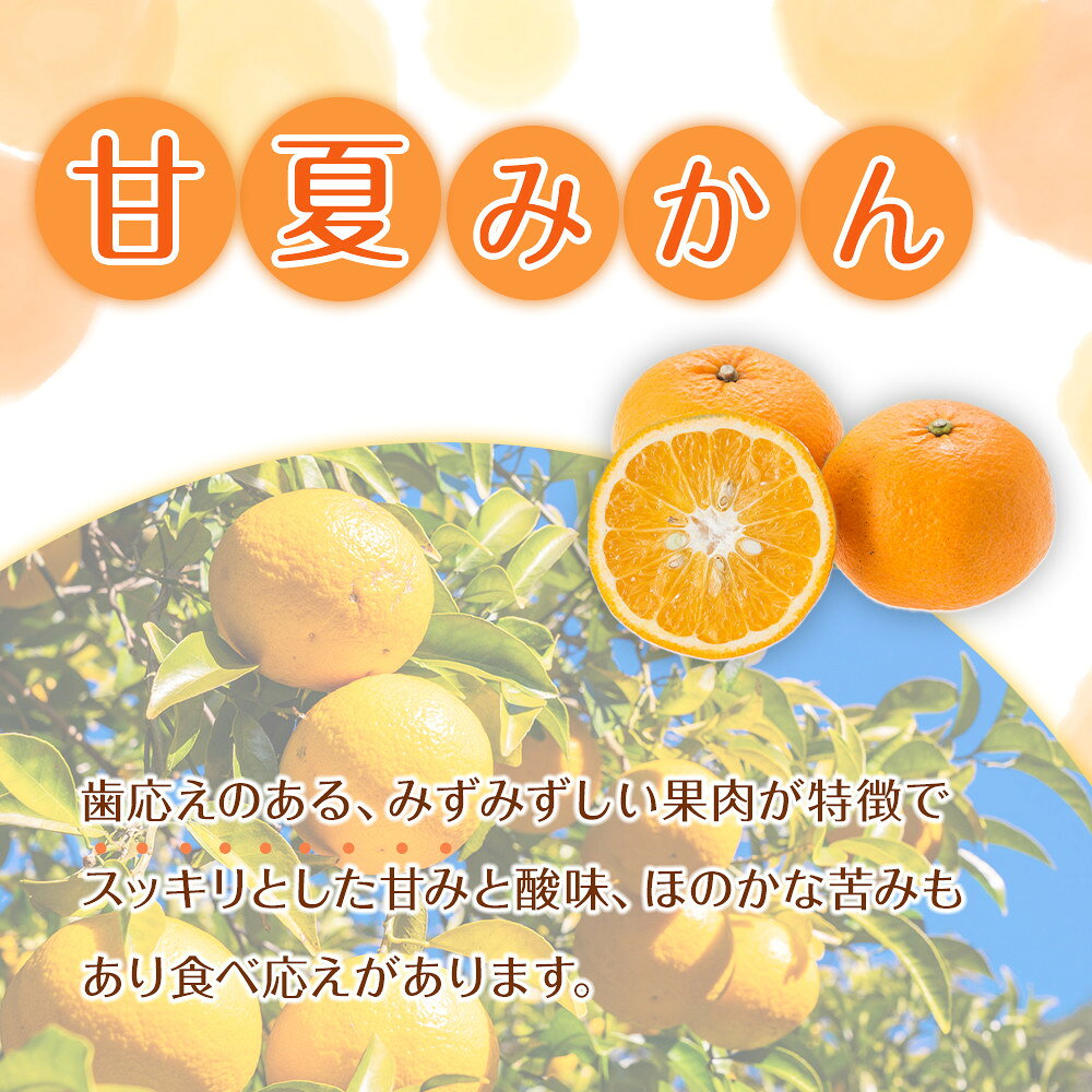 【ふるさと納税】【選べる容量】訳あり 森本農園の手選別 甘夏みかん 約2～10kg 和歌山県産 サイズ混合 ［北海道・沖縄・離島配送不可］［2026年4月上旬から順次発送］［RN74］ | みかん 蜜柑 フルーツ 果物 くだもの 食品 人気 おすすめ 送料無料 サムネイル2
