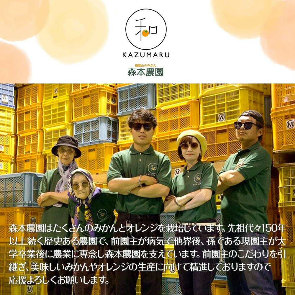 【ふるさと納税】【選べる容量】 贈答用 森本農園の手選別 厳選清見オレンジ 約2～10kg 和歌山県産 サイズ混合 ［北海道・沖縄・離島配送不可］［2026年2月上旬から5月中旬頃順次発送予定］［RN89］ | みかん 蜜柑 フルーツ 果物 くだもの 食品 人気 おすすめ 送料無料 サムネイル2
