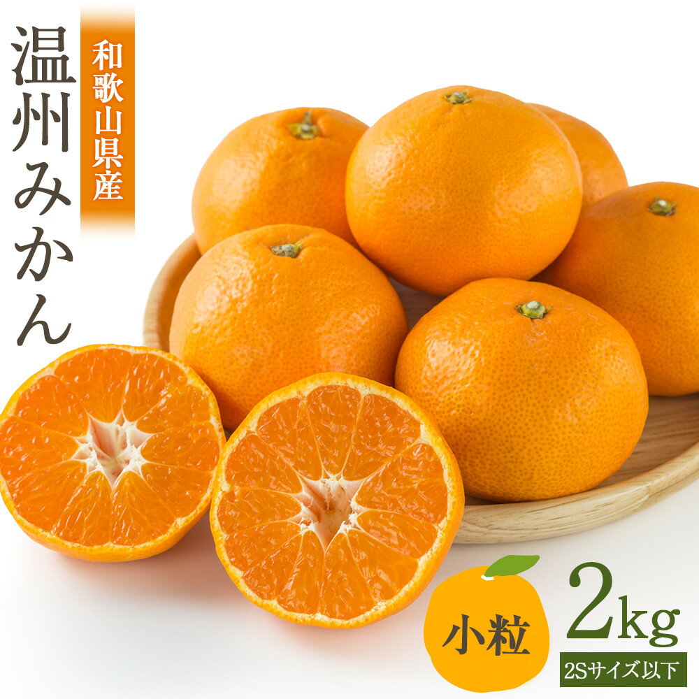 ［先行予約］訳あり 温州みかん 約2kg 小粒［2025年11月上旬頃から順次発送予定］ | みかん 蜜柑 フルーツ 果物 くだもの 食品 人気 おすすめ 送料無料 産地直送