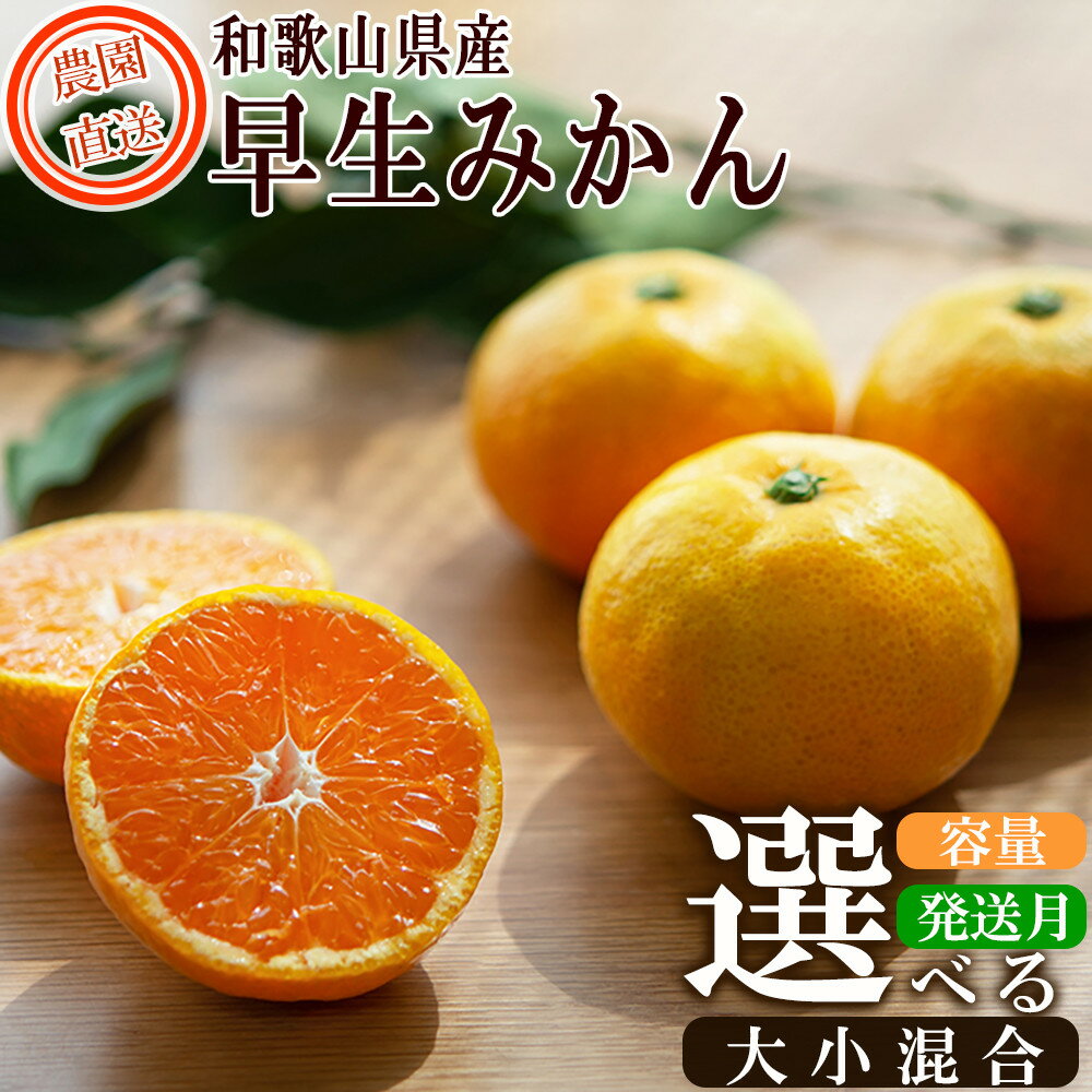 早生みかん 訳あり 和歌山産みかん 家庭用 2kg〜10kg 選べる容量 送料無料 | 楽天 和歌山 和歌山県 返礼品 訳あり