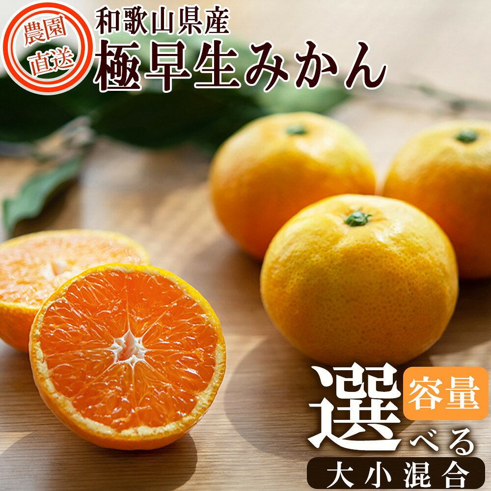 【極早生みかん】 訳あり 和歌山産みかん 家庭用 2kg～10kg 選べる容量 送料無料 | 混合サイズ 果物 くだもの フルーツ | 混合サイズ ミカン 蜜柑 温州みかん わけあり 訳アリ 特産品 名産品 果物 くだもの フルーツ