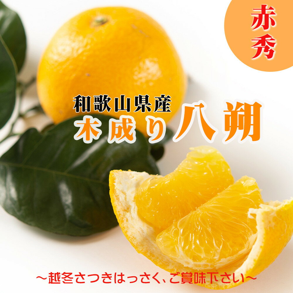 八朔 はっさく 赤秀 約6kg｜和歌山県海南市産 木成り 完熟はっさく フルーツ 柑橘系【2026年先行予約】甘酸っぱくて爽やか！3月下旬～4月下旬に順次出荷予定（サイズ不選別）［Mg26］ | フルーツ 果物 くだもの 食品 人気 おすすめ 送料無料 八朔 はっさく