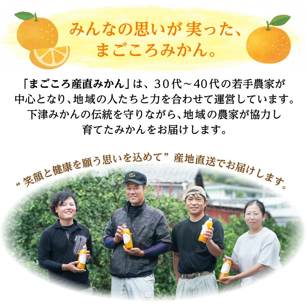 【ふるさと納税】【選べる種別・内容量・配送時期】みかん 約5kg～10kg 小粒2S・3S混合 《ご家庭用》 和歌山県産 農園直送 まごころ産直みかん 【北海道・沖縄県・一部離島 配送不可】 ちょっと訳あり 希少 小粒みかん SSサイズ 小玉 わけあり 訳アリ サムネイル2