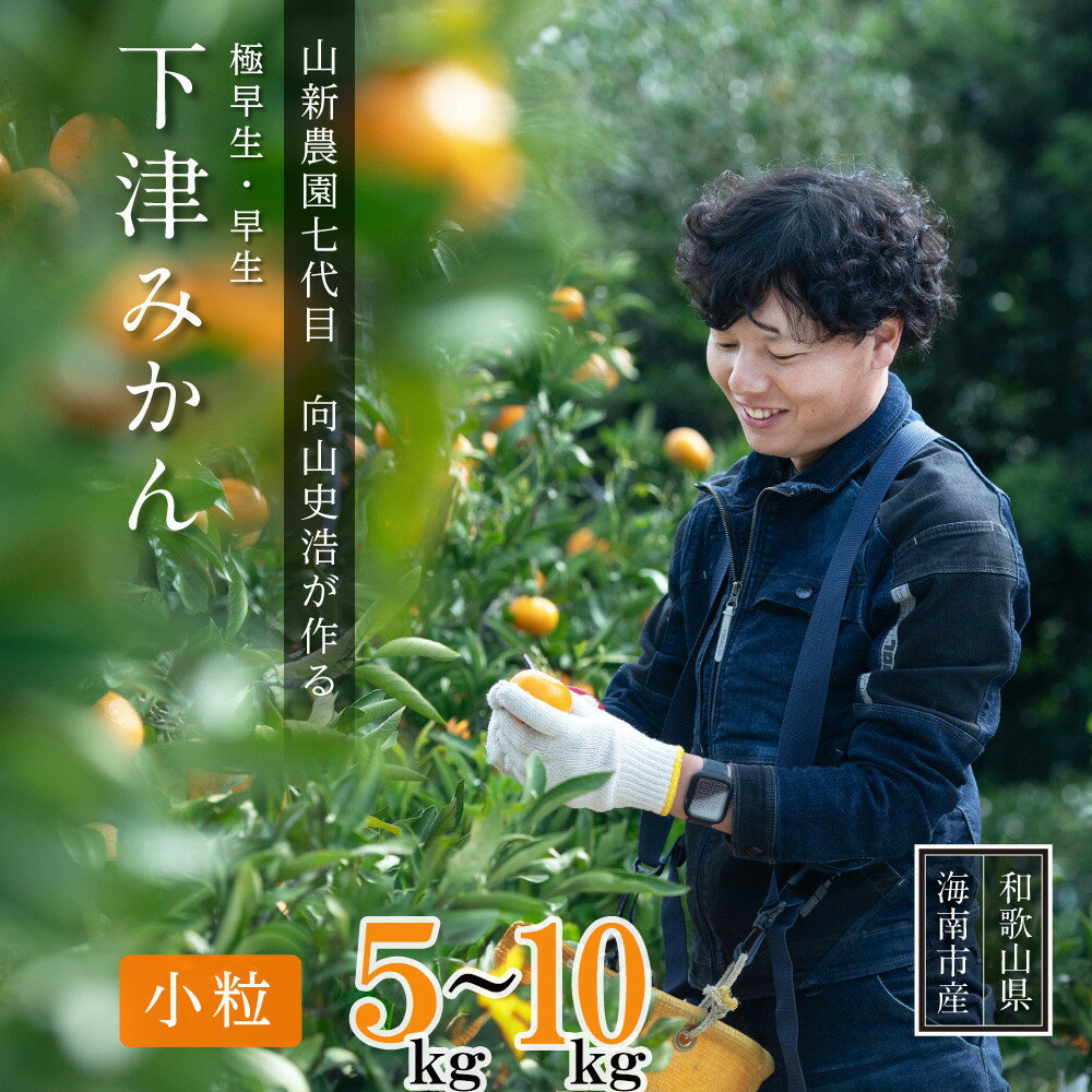 【選べる容量】極早生 or 早生みかん 約5kg or 約10kg 小粒SS・Sサイズおまかせ《秀品》 和歌山県産 山新農園 農園直送 まごころ産直みかん［北海道・沖縄県・一部離島 配送不可］ | ふるさと納税 楽天 和歌山 海南市 果物 フルーツ 訳あり