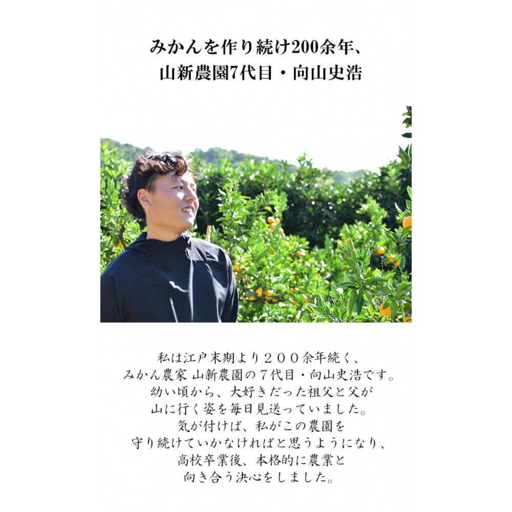 【ふるさと納税】【選べる容量】極早生 or 早生みかん 約5kg or 約10kg 小粒SS・Sサイズおまかせ《秀品》 和歌山県産 山新農園 農園直送 まごころ産直みかん［北海道・沖縄県・一部離島 配送不可］ | ふるさと納税 楽天 和歌山 海南市 果物 フルーツ 訳あり サムネイル2