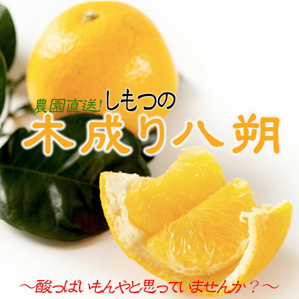 【選べる容量】訳あり はっさく 八朔 ハッサク わけあり 6～10kg箱 大小混合サイズ｜海南市産 まごころ産直みかん 木成り 完熟はっさく 柑橘 みかん フルーツ 和歌山みかん 国産 産地直送 甘酸っぱくて爽やか！